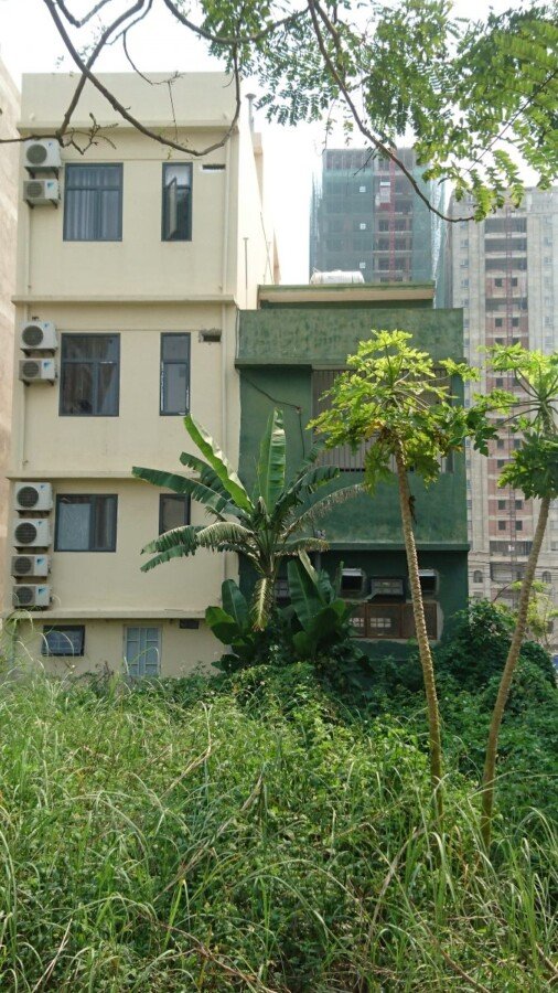 Land values and taxes mean modern buildings are narrow-fronted and tall