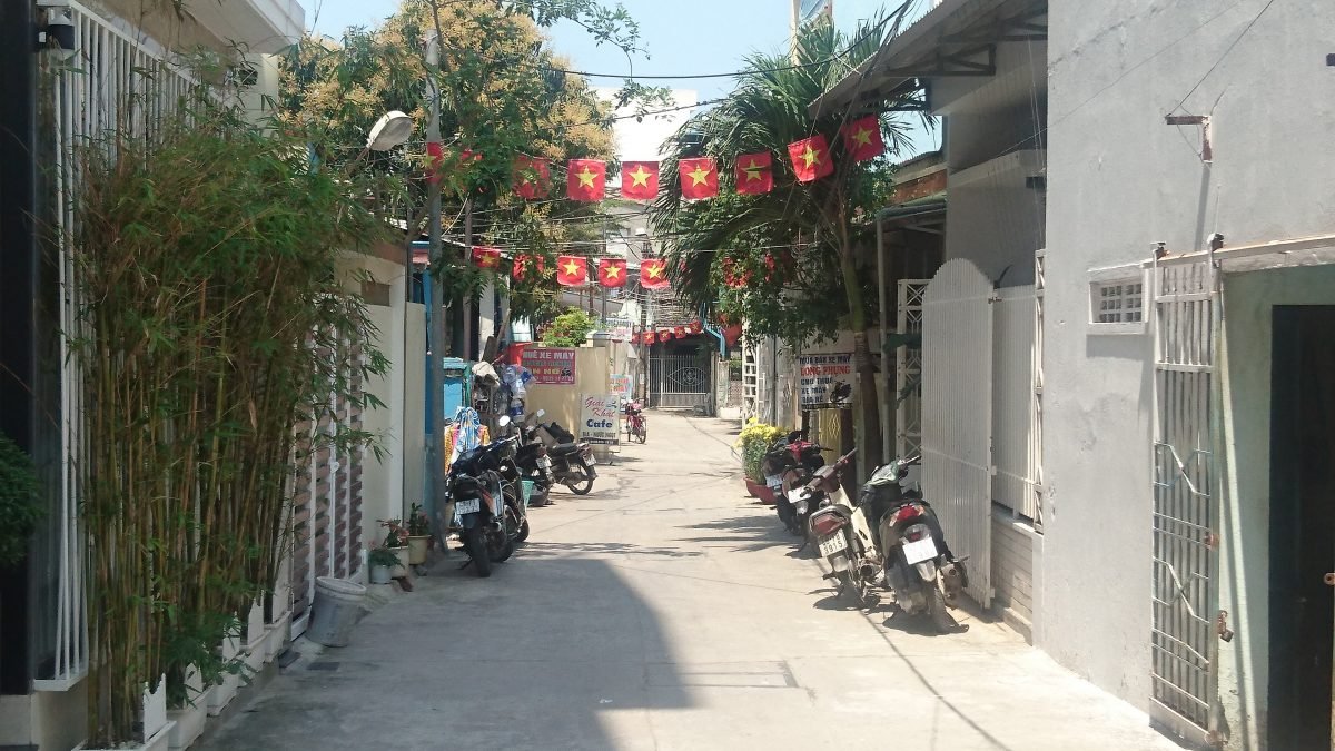A herd of the native scooters resting in the shade in the midday heat