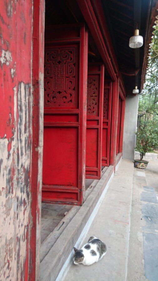 A cat, doing what cats do, in front of the doors of the Ngoc Son temple