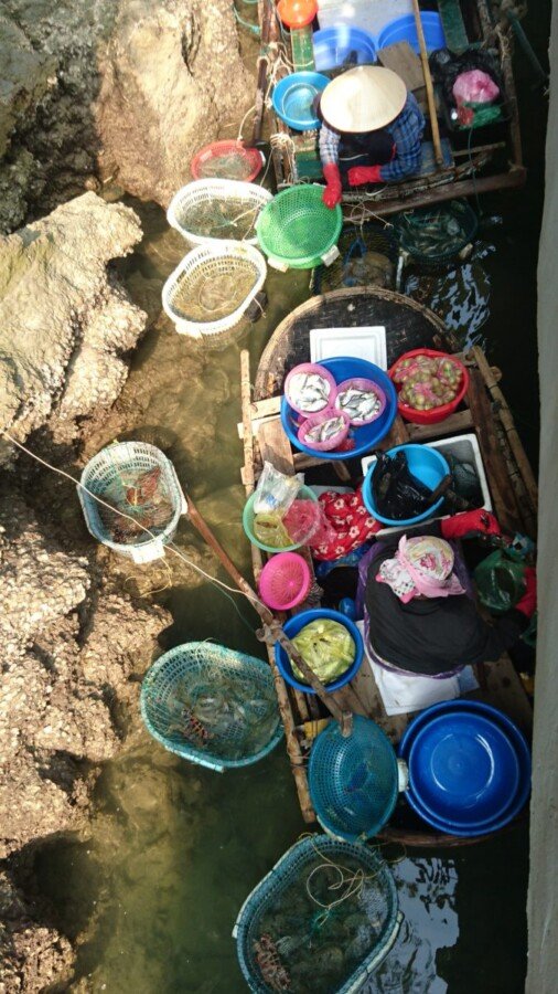 A local fisher selling their wears (look closely, you'll spot them) from under the dock at Bo Hon island