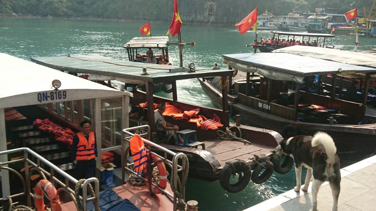 The habourmaster at Bo Hon barks commands at the tender pilots. With so many visitors for the Surprise Cave coming and going, there is a lot of traffic and he has to run a tight ship